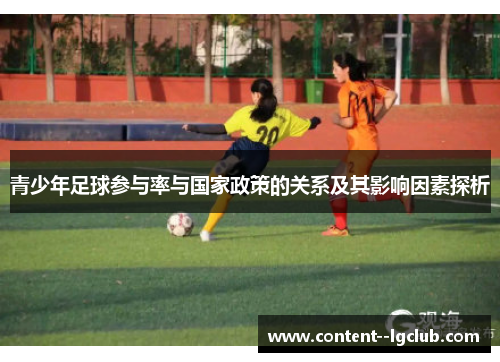 青少年足球参与率与国家政策的关系及其影响因素探析